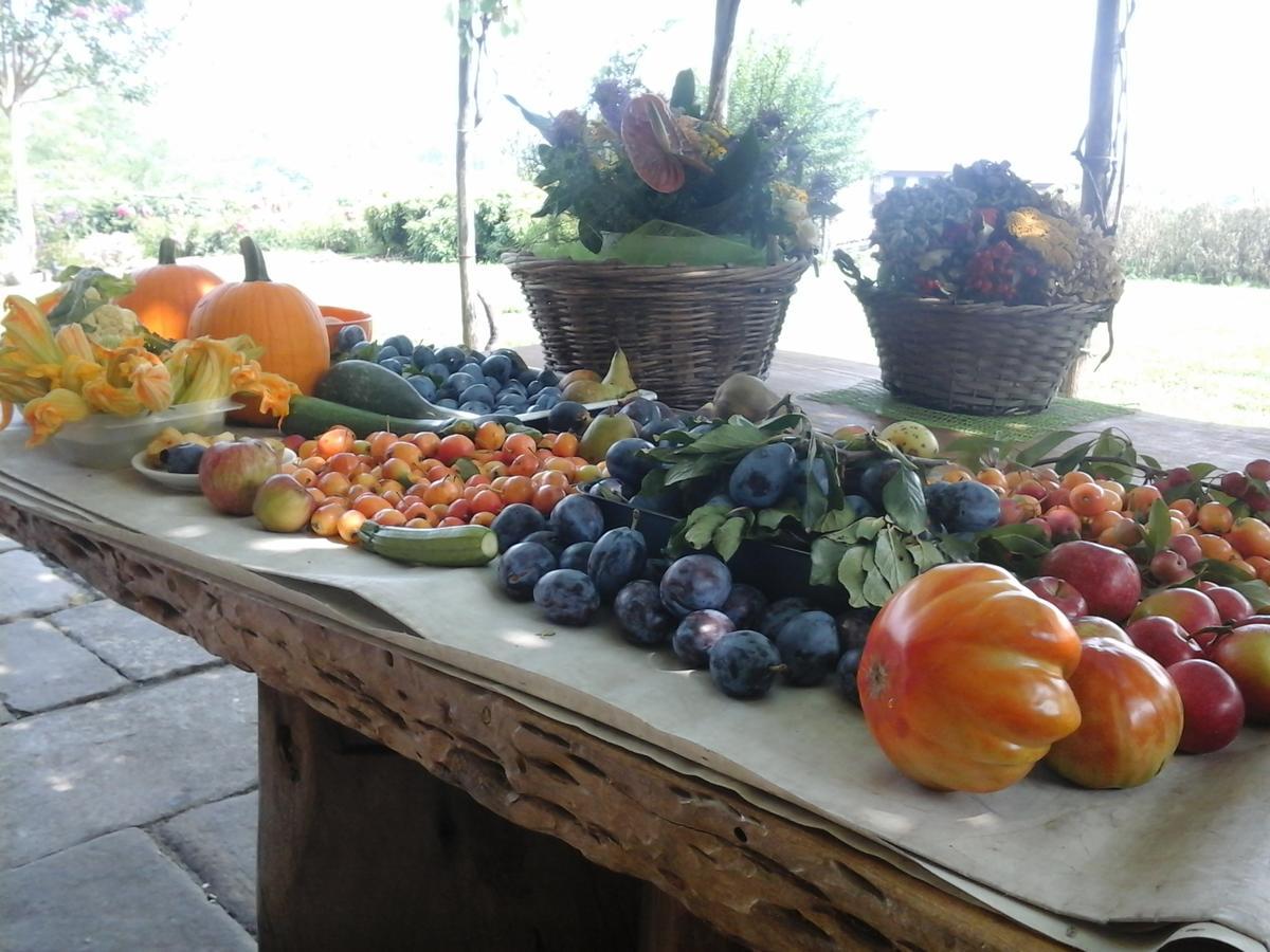 Bio&B Cascina Montebello Palazzago Kültér fotó