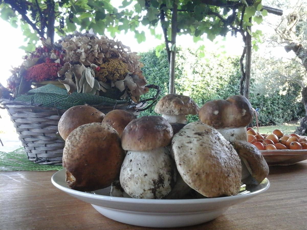 Bio&B Cascina Montebello Palazzago Kültér fotó